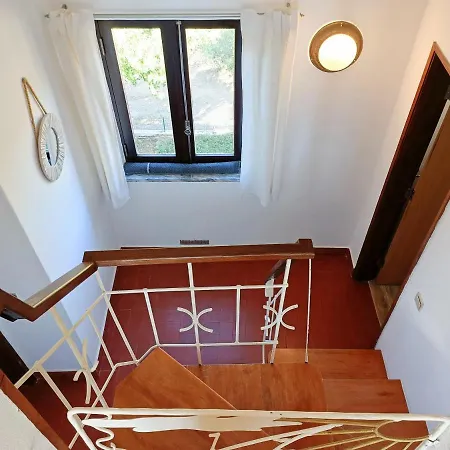 Casa Dos Pinheiros *