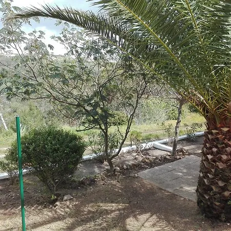 Casa Dos Pinheiros *