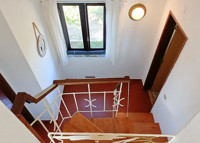 Casa Dos Pinheiros *