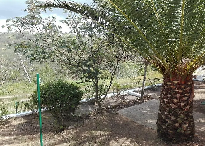 Casa Dos Pinheiros *